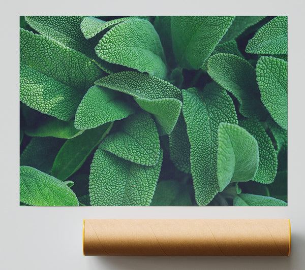 Emerald Green Leaves Print