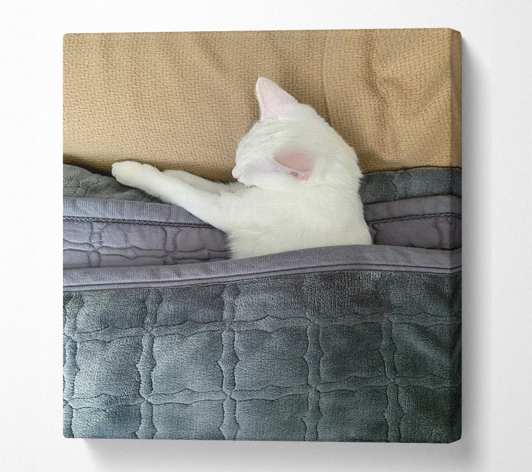  A Canvas Print of Gray Blanket Slumber Canvas Art
