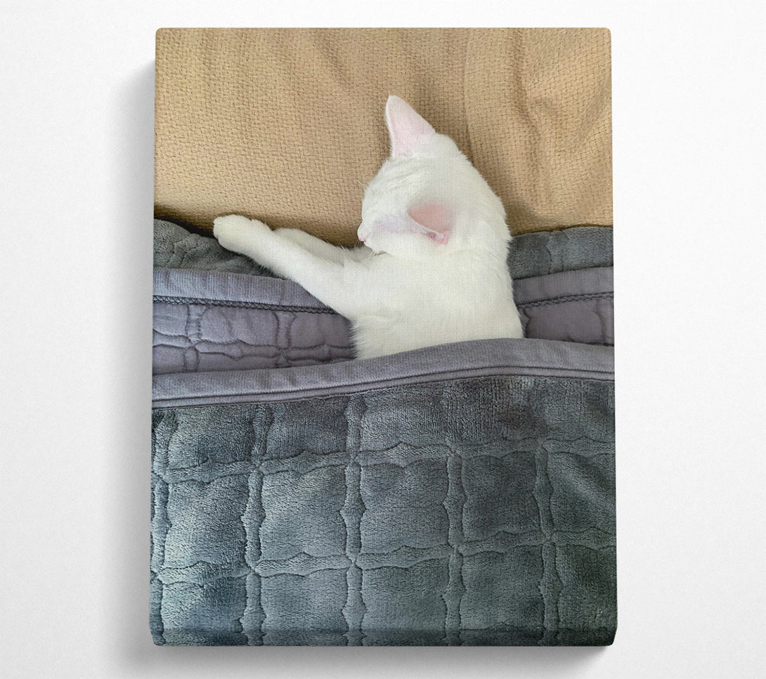  A Canvas Print of Gray Blanket Slumber Canvas Art