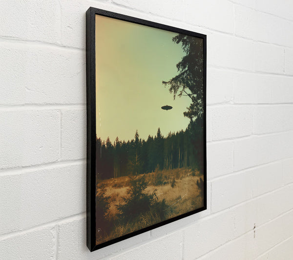 Green Forest Encounter
