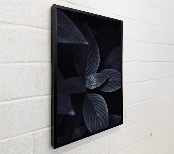 Midnight Green Leaves