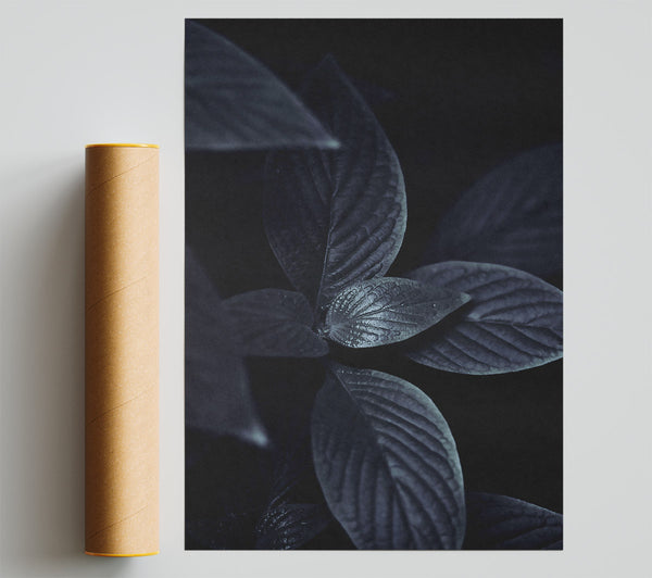 Midnight Green Leaves Poster