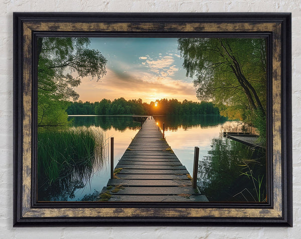 Boardwalk Forest Framed Print