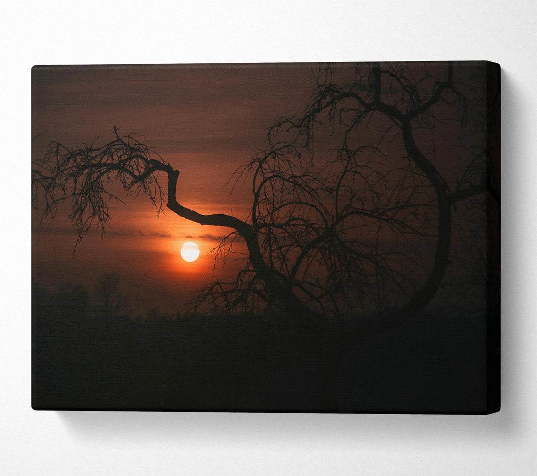  A Canvas Print of Orange Sunset Silhouette Canvas Art