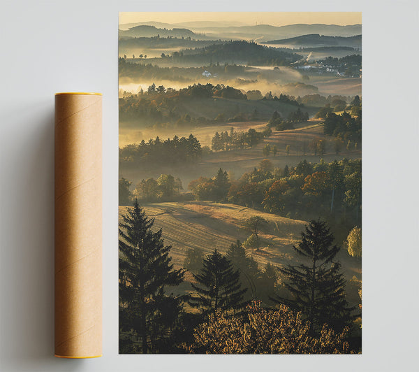 Golden Morning Mist Print