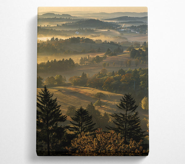  A Canvas Print of Golden Morning Mist Canvas Print