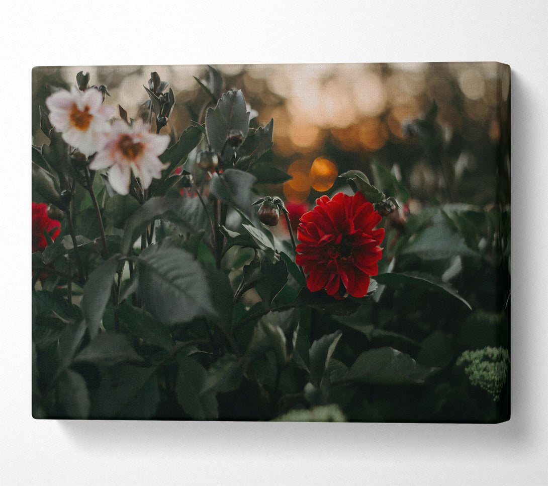  A Canvas Print of Crimson Bloom'S Embrace Canvas Wall Art