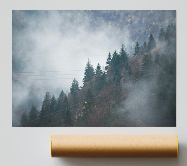 Grey Foggy Pines Poster