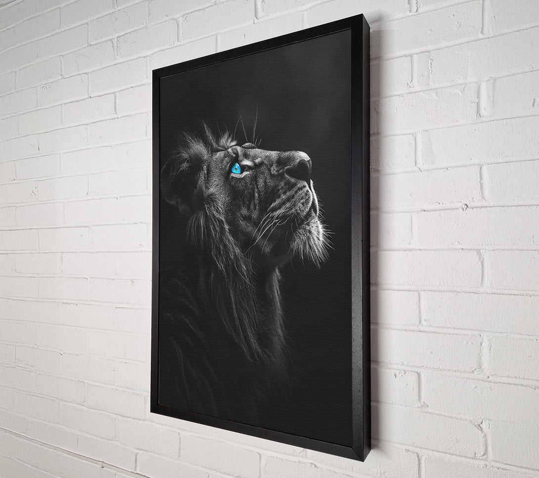  A Canvas Print of Blue Eyes Of The King Canvas Print
