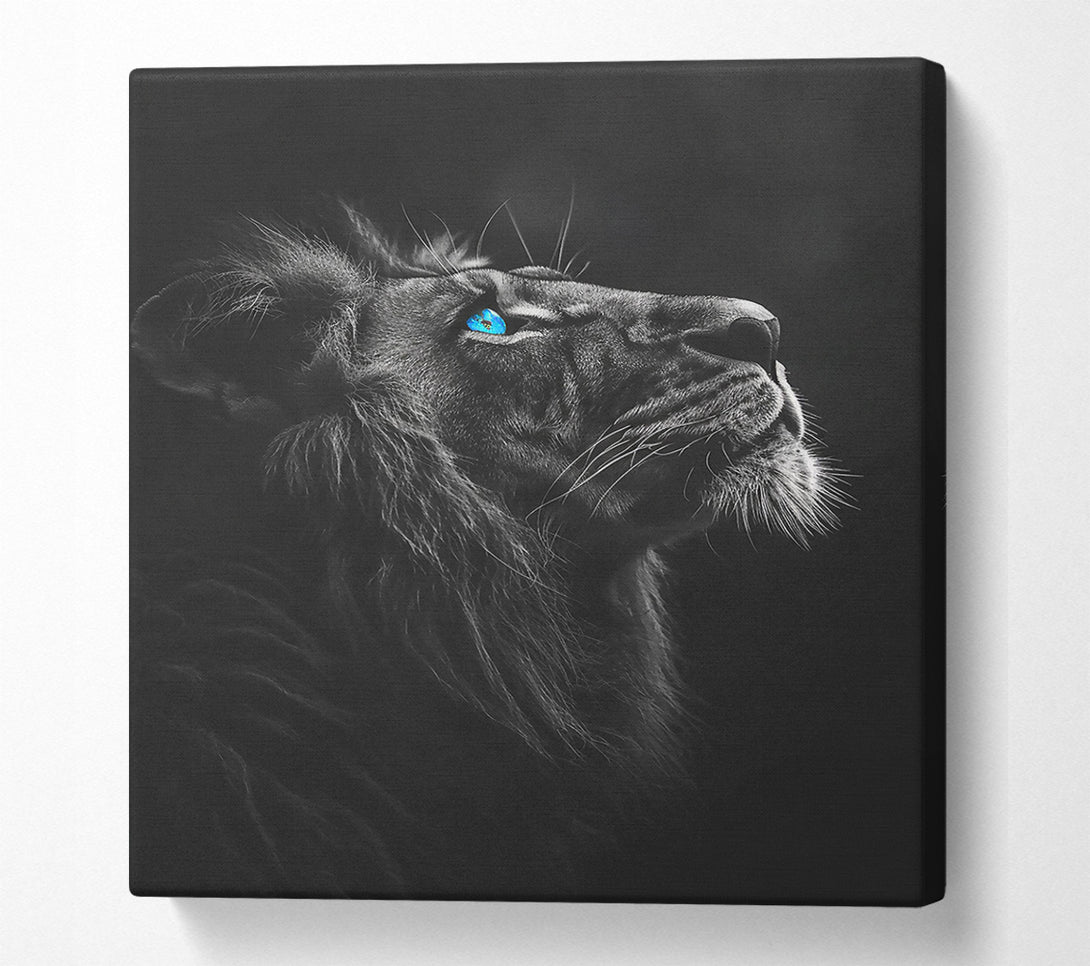 A Canvas Print of Blue Eyes Of The King Canvas Print
