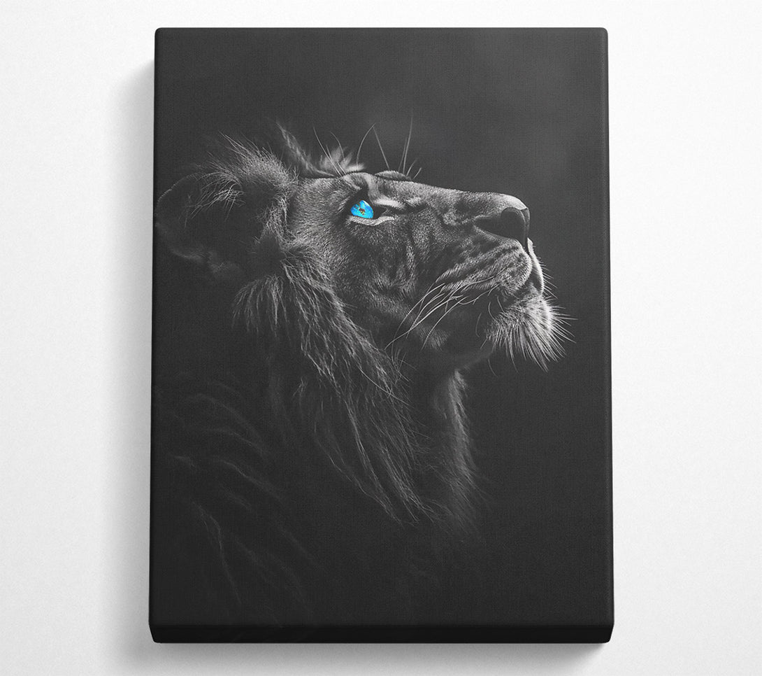  A Canvas Print of Blue Eyes Of The King Canvas Print