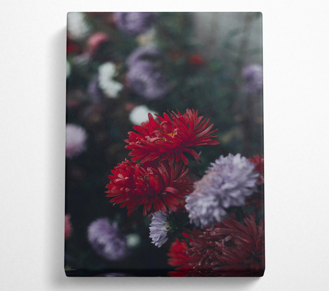 A Canvas Print of Crimson Bloom'S Embrace Canvas Wall Art