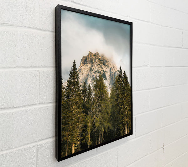 Grey Peak Through Pines