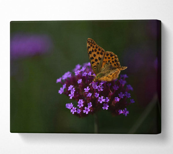 Purple Flower Butterfly