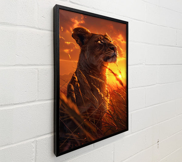 Golden Sunset Lioness