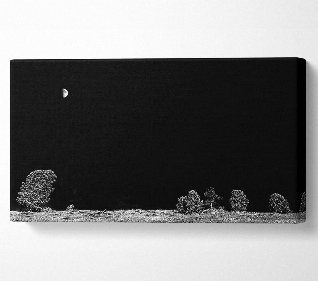  A Canvas Print of Black Night'S Embrace Canvas Print