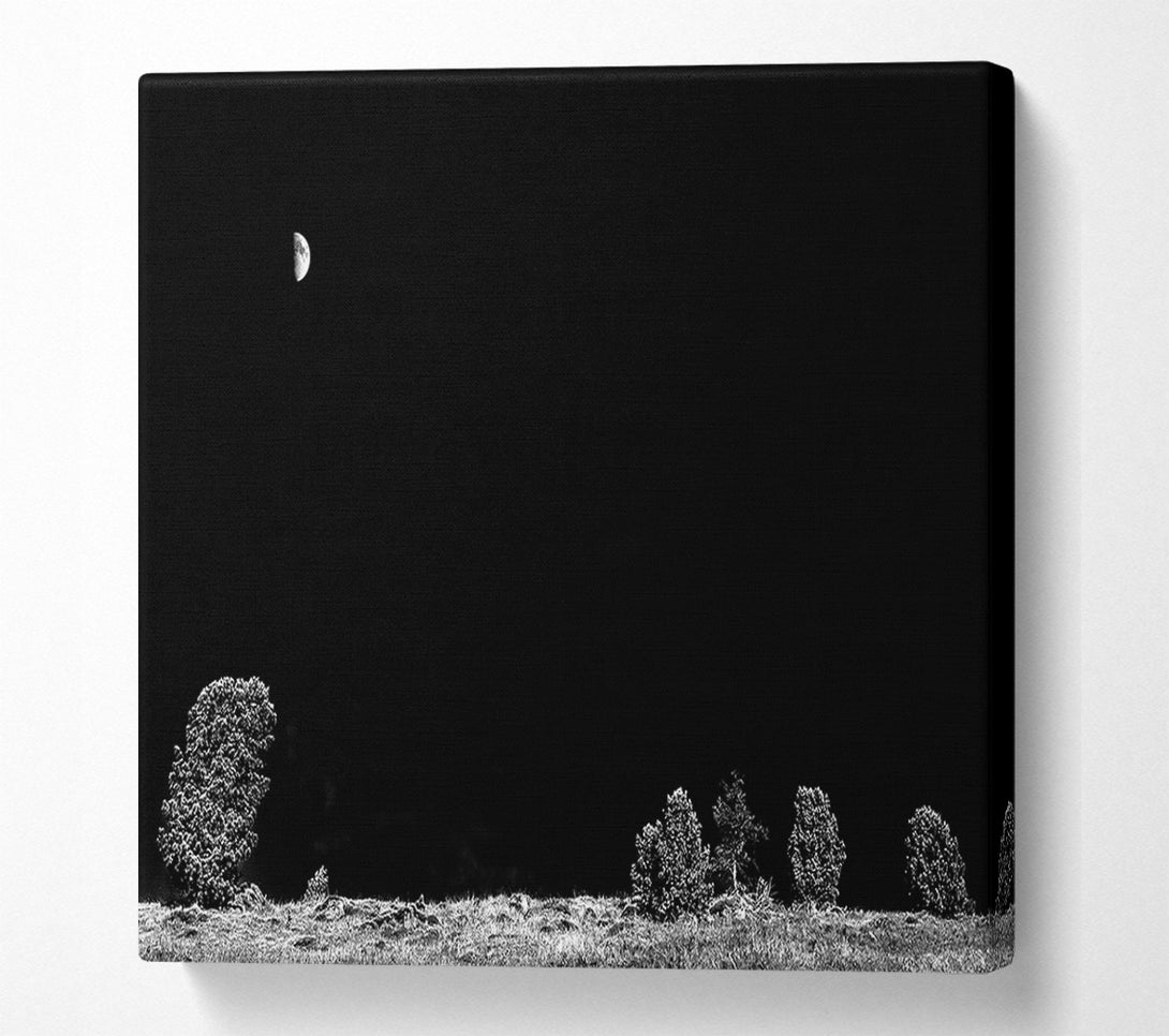  A Canvas Print of Black Night'S Embrace Canvas Print