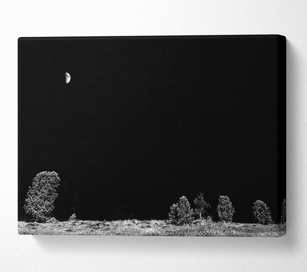  A Canvas Print of Black Night'S Embrace Canvas Print