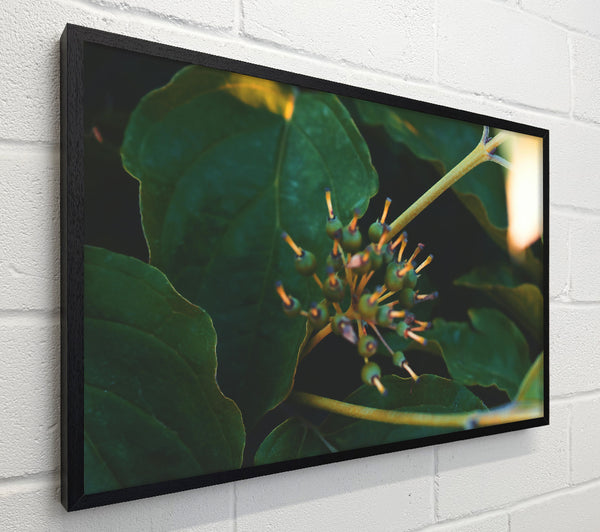 Emerald Green Bloom