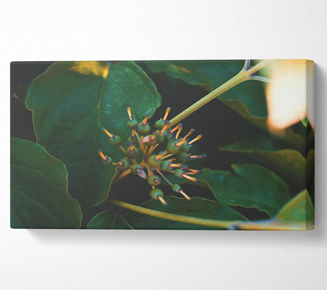  A Canvas Print of Emerald Green Bloom Canvas Wall Art