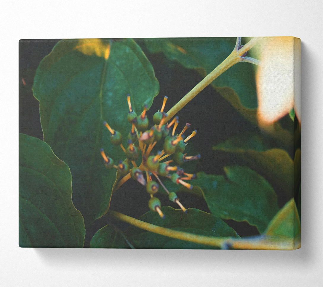  A Canvas Print of Emerald Green Bloom Canvas Wall Art