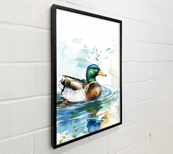 Blue Water Mallard