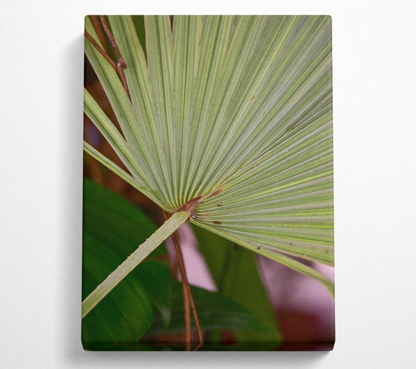 Green Palm Stripes