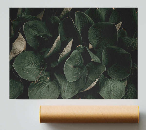 Emerald Leaf Embrace Poster