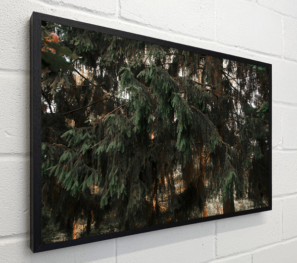 Emerald Forest Embrace