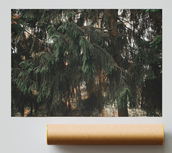 Emerald Forest Embrace Print
