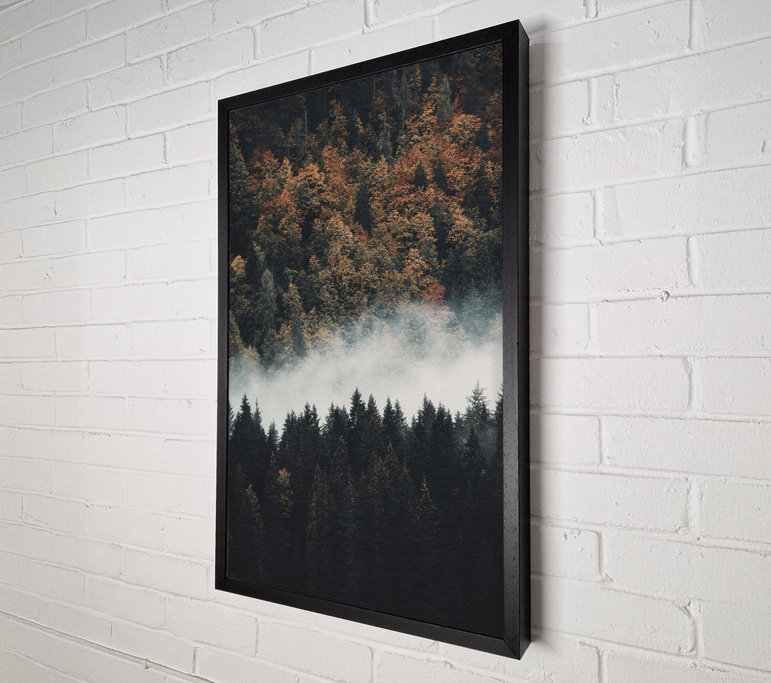  A Canvas Print of Golden Foggy Forest Canvas Print