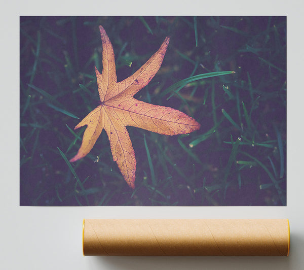 Golden Leaf In Green Grass Print