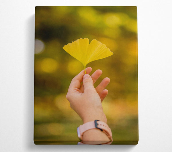 A Canvas Print of Golden Leaf Held High Canvas Wall Art