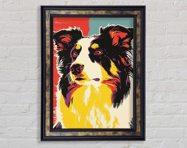 Border Collie Pop Art Framed Print