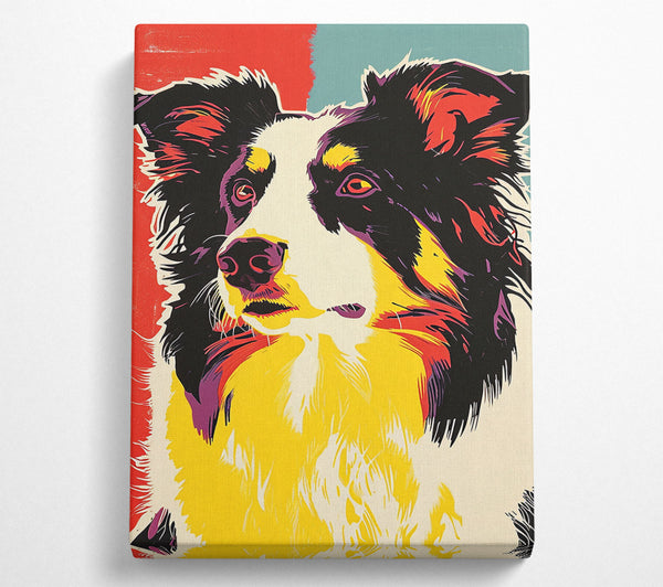  A Canvas Print of Border Collie Pop Art Canvas Wall Art