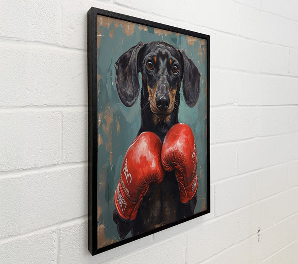 Boxing Dachshund