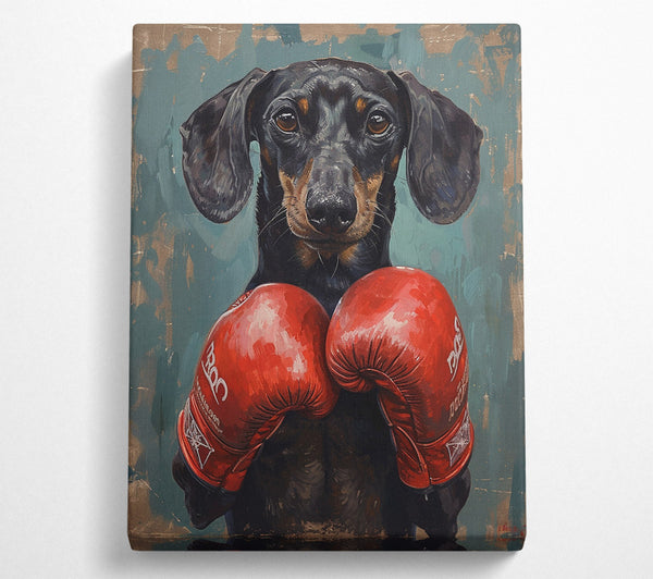  A Canvas Print of Boxing Dachshund Canvas Art