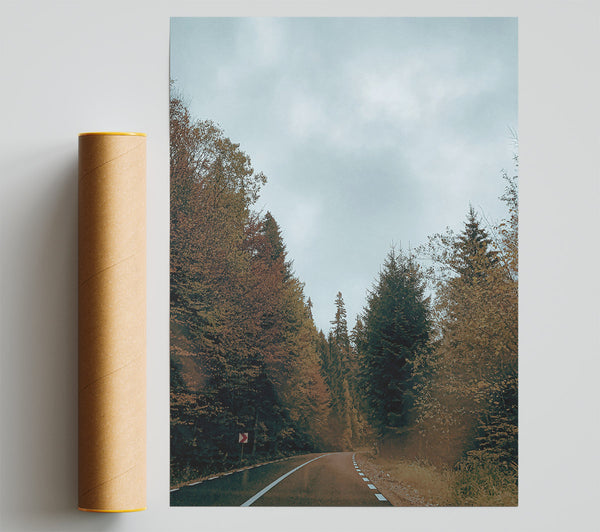 Green Road Through Trees Giclee Print