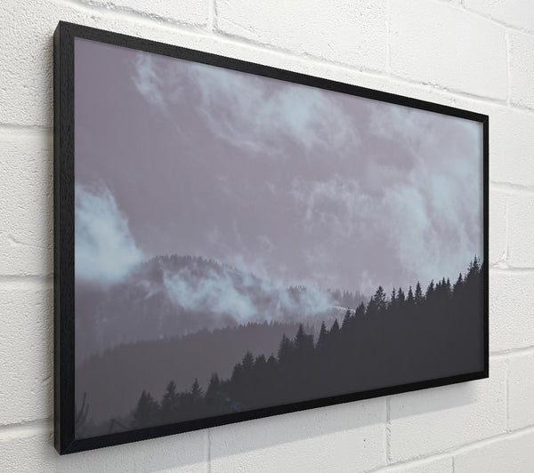 Lavender Forest Fog