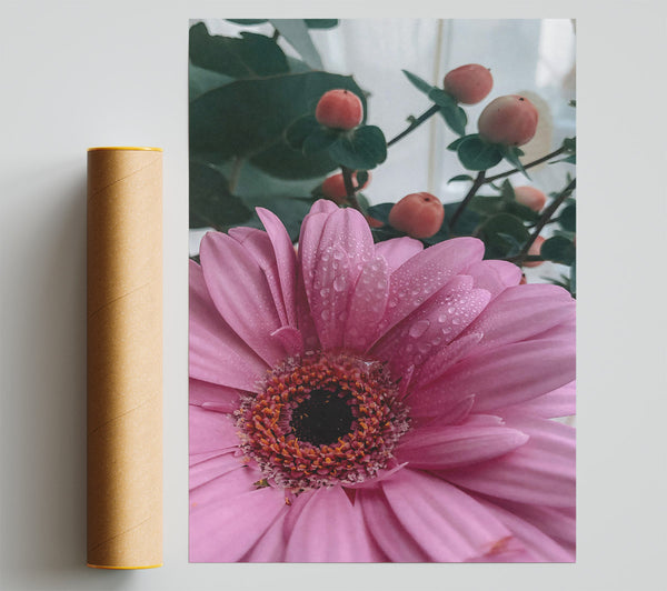 Pink Dewy Bloom Poster