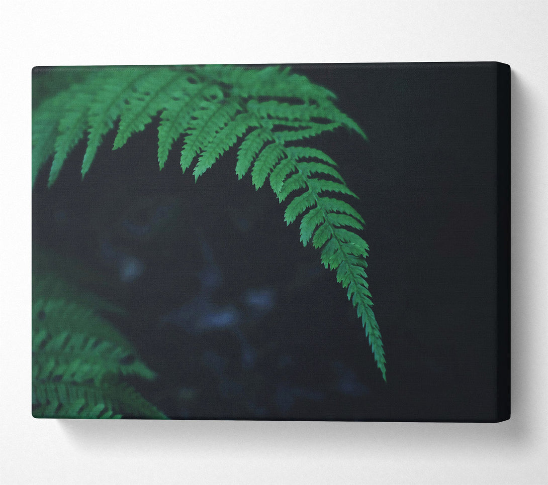  A Canvas Print of Emerald Fern Frond Canvas Wall Art