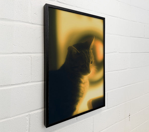 Golden Cat Silhouette