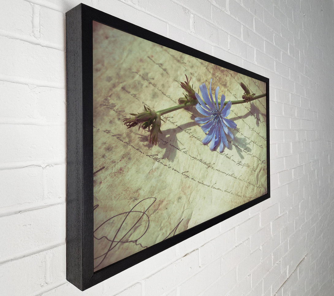  A Canvas Print of Pale Blue Letter Canvas Print