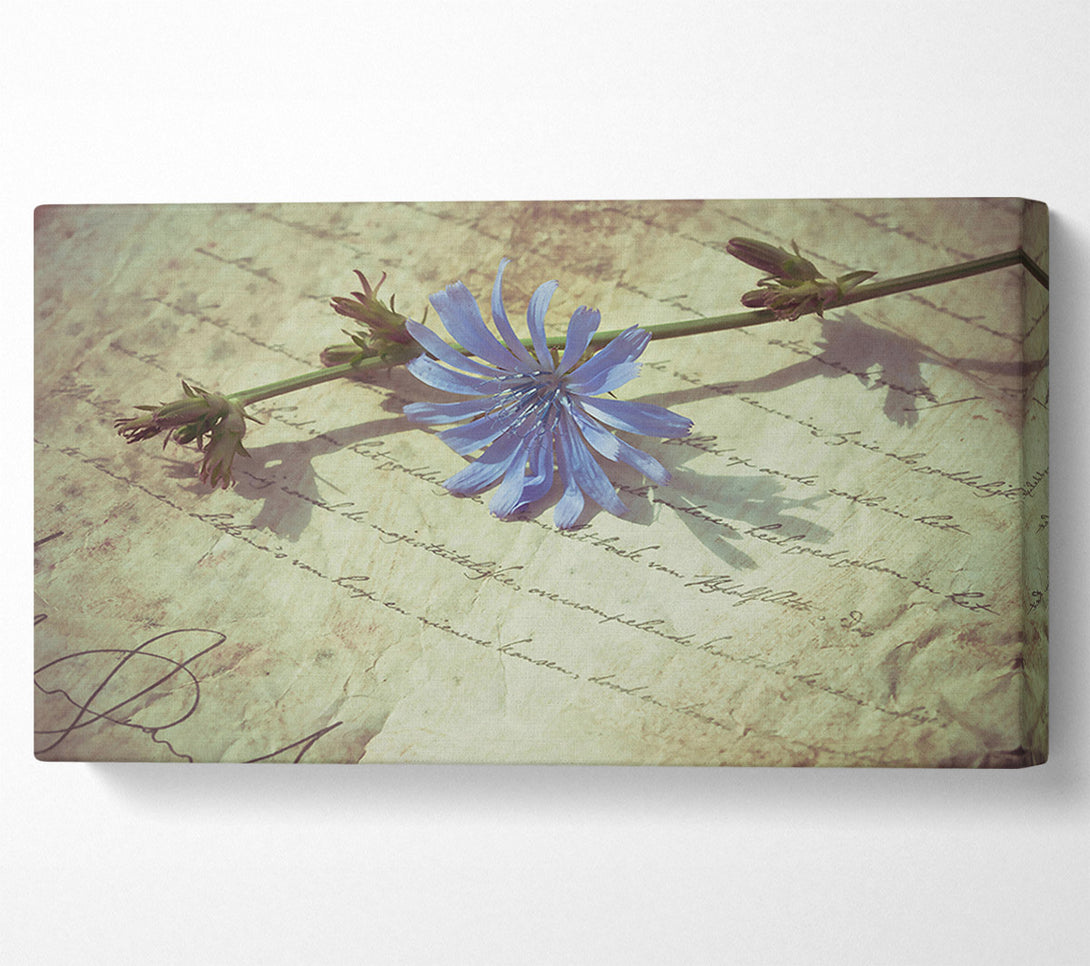  A Canvas Print of Pale Blue Letter Canvas Print