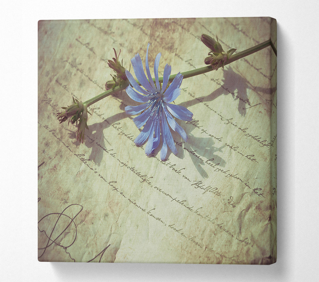  A Canvas Print of Pale Blue Letter Canvas Print