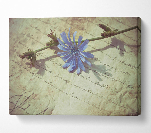  A Canvas Print of Pale Blue Letter Canvas Print
