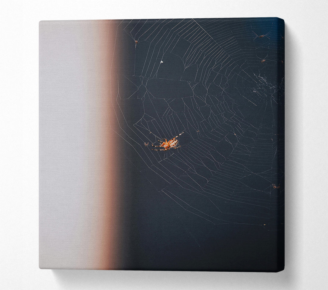  A Canvas Print of Black Web Weaver Canvas Wall Art