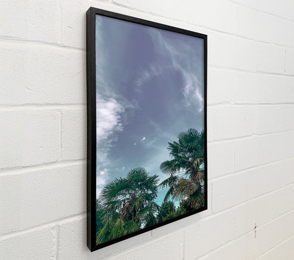 Pale Blue Palms