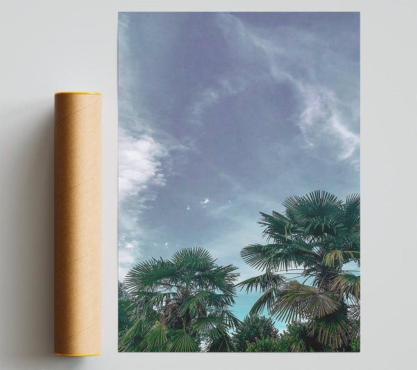 Pale Blue Palms Print