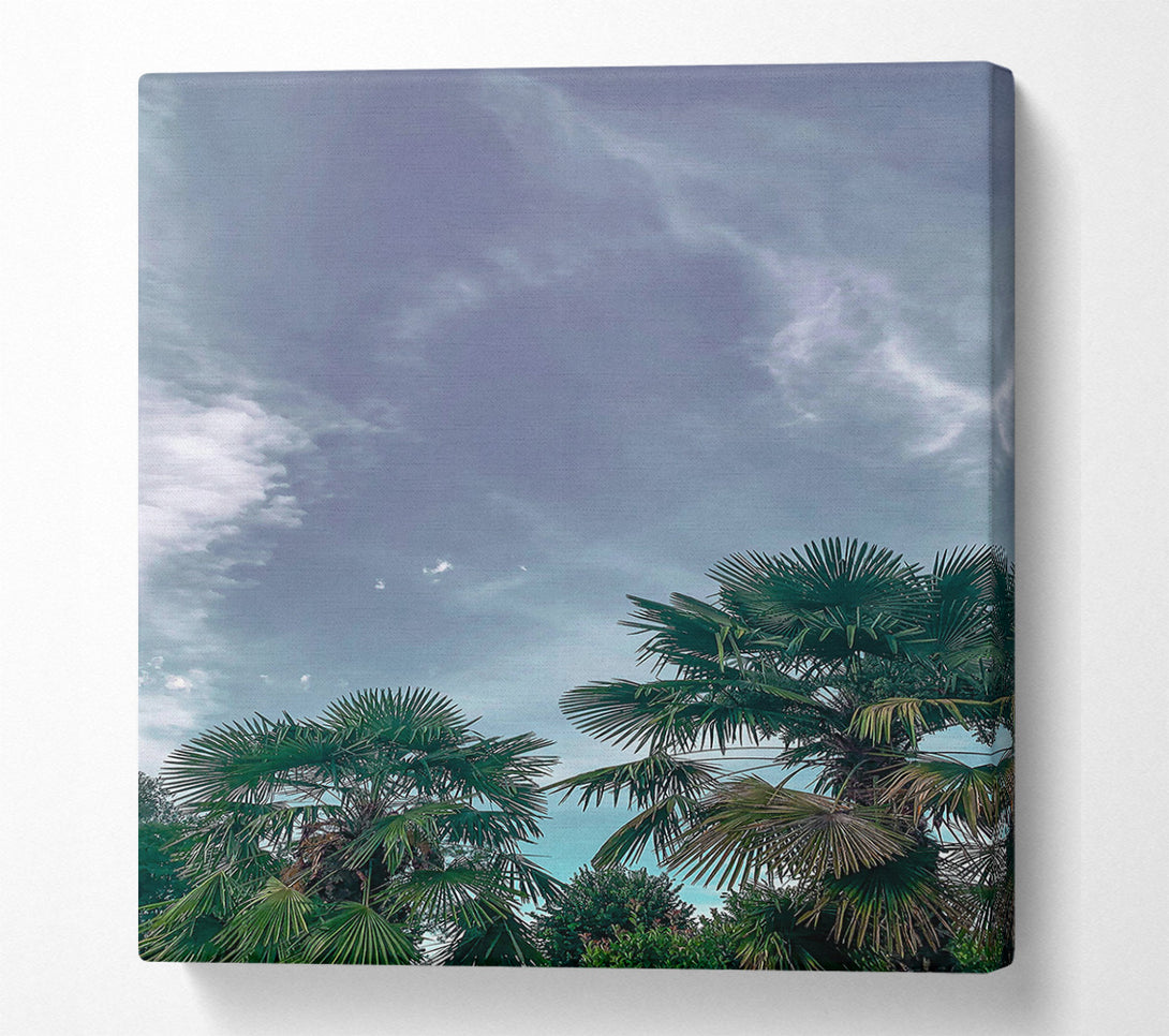 A Canvas Print of Pale Blue Palms Canvas Wall Art